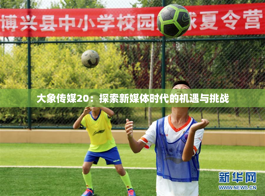 大象传媒20：探索新媒体时代的机遇与挑战