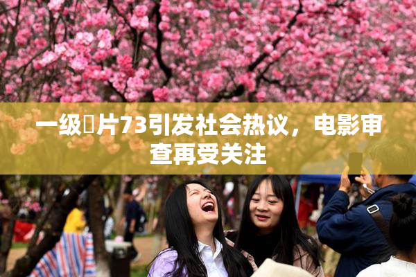 一级婬片73引发社会热议，电影审查再受关注