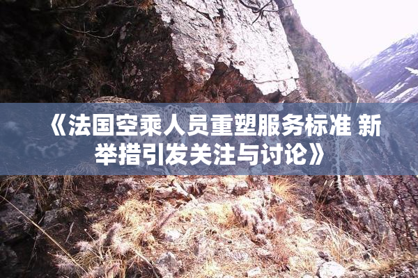 《法国空乘人员重塑服务标准 新举措引发关注与讨论》