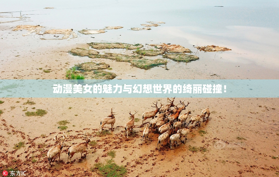 动漫美女的魅力与幻想世界的绮丽碰撞！