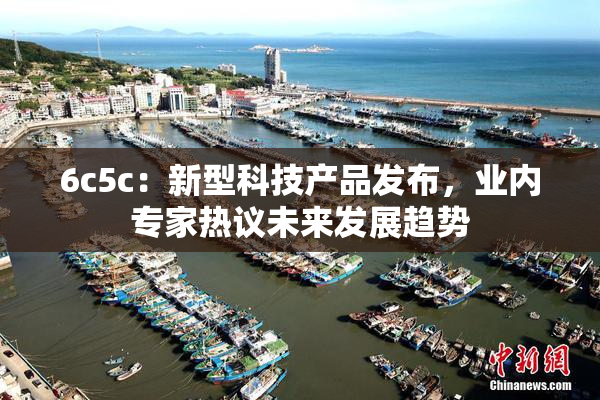 6c5c：新型科技产品发布，业内专家热议未来发展趋势