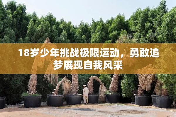 18岁少年挑战极限运动，勇敢追梦展现自我风采
