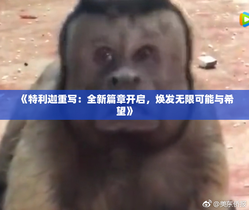 《特利迦重写：全新篇章开启，焕发无限可能与希望》