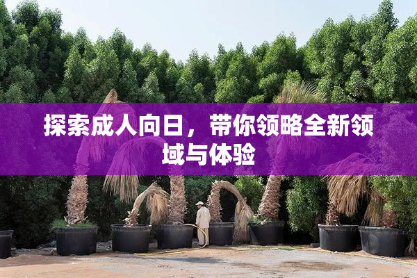 探索成人向日，带你领略全新领域与体验