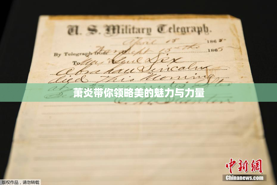 萧炎带你领略美的魅力与力量