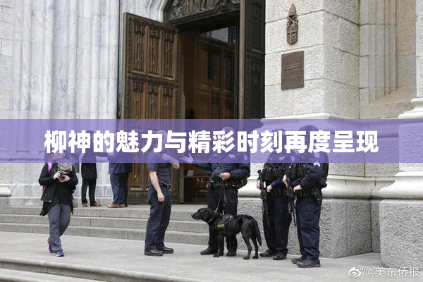 柳神的魅力与精彩时刻再度呈现