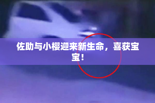 佐助与小樱迎来新生命，喜获宝宝！