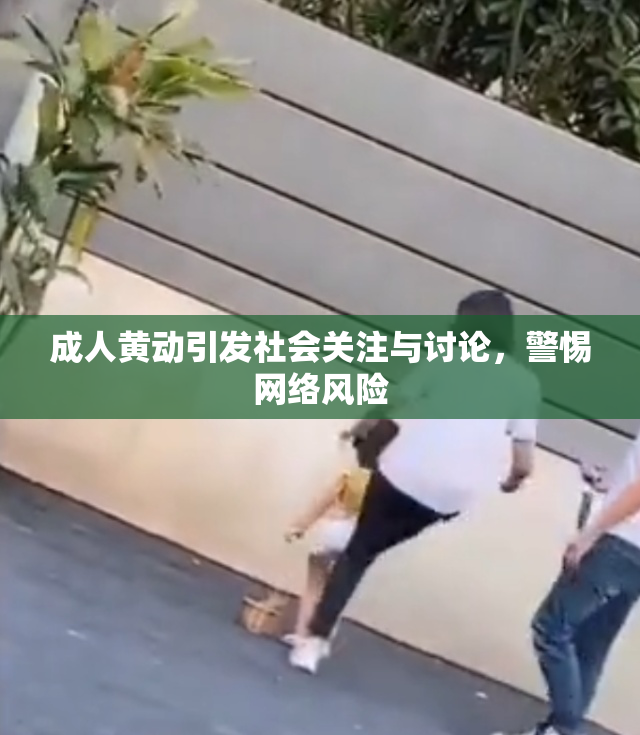 成人黄动引发社会关注与讨论，警惕网络风险