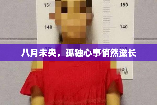 八月未央，孤独心事悄然滋长