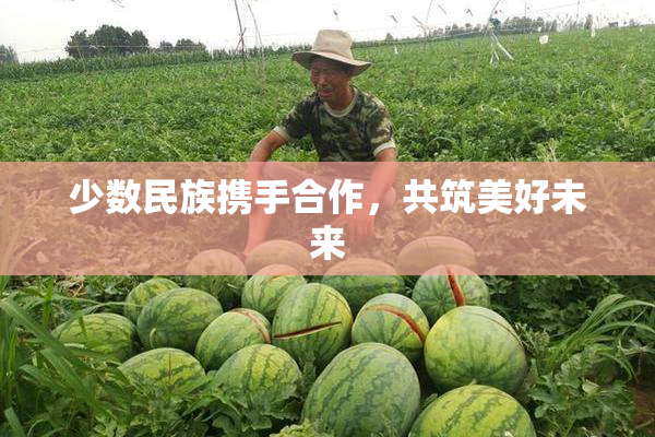 少数民族携手合作，共筑美好未来