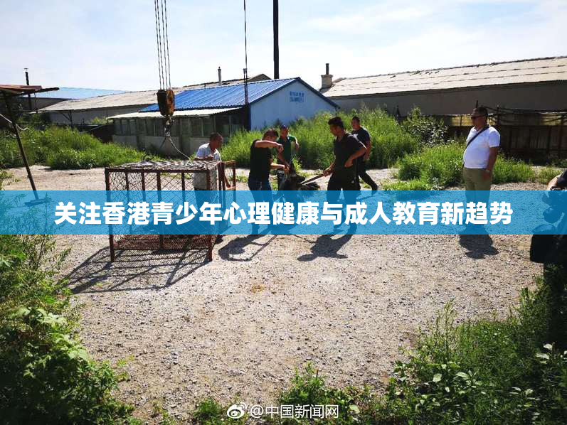 关注香港青少年心理健康与成人教育新趋势