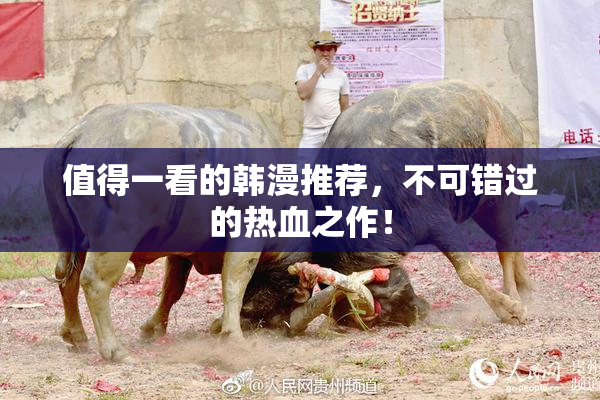 值得一看的韩漫推荐，不可错过的热血之作！