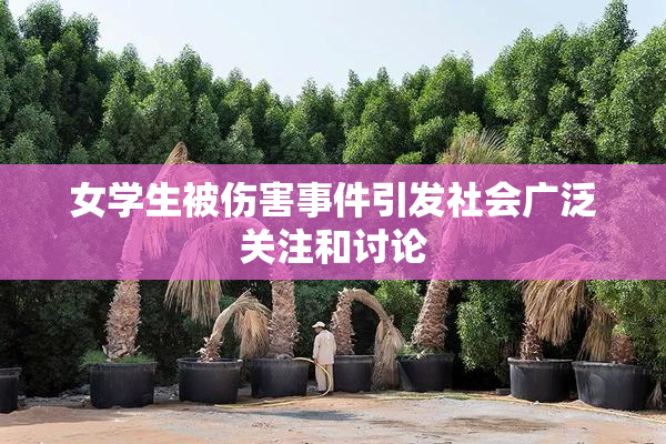 女学生被伤害事件引发社会广泛关注和讨论