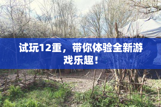 试玩12重，带你体验全新游戏乐趣！
