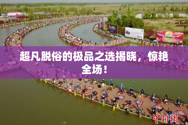超凡脱俗的极品之选揭晓，惊艳全场！