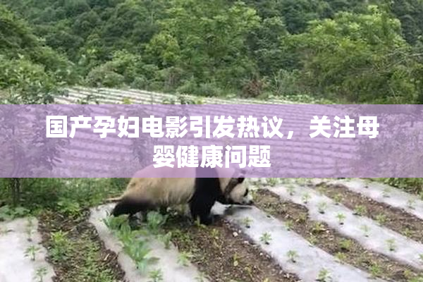 国产孕妇电影引发热议，关注母婴健康问题