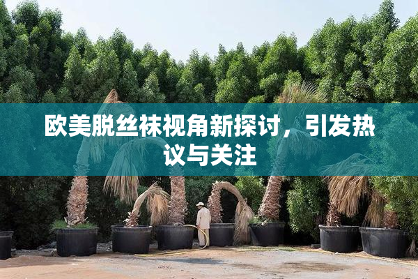 欧美脱丝袜视角新探讨，引发热议与关注