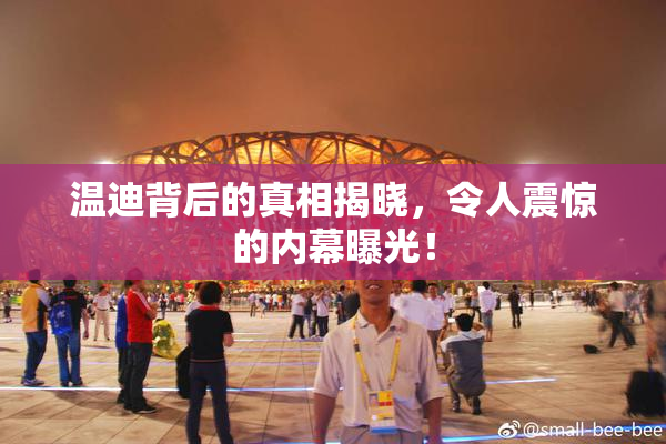 温迪背后的真相揭晓，令人震惊的内幕曝光！