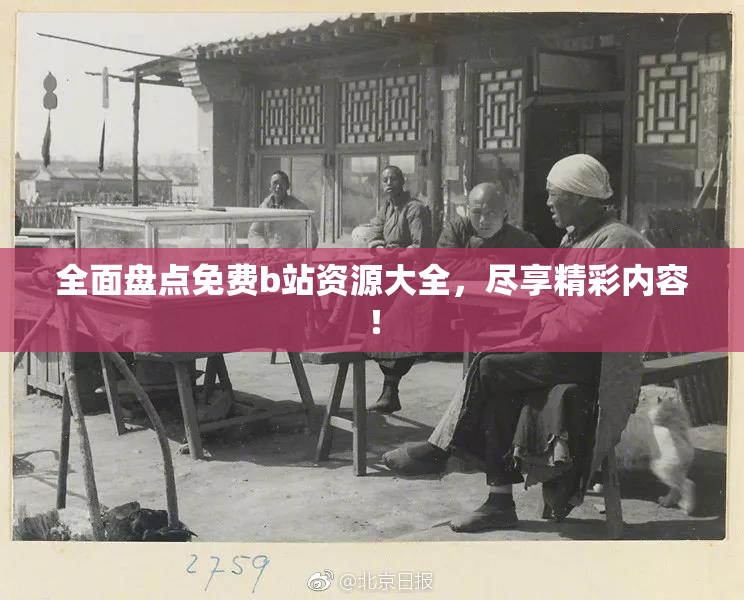 全面盘点免费b站资源大全，尽享精彩内容！