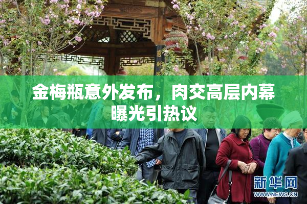 金梅瓶意外发布，肉交高层内幕曝光引热议
