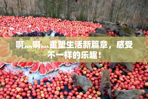 啊灬啊灬重塑生活新篇章，感受不一样的乐趣！
