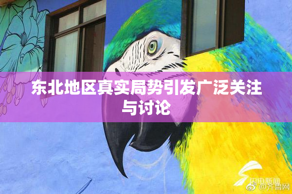 东北地区真实局势引发广泛关注与讨论