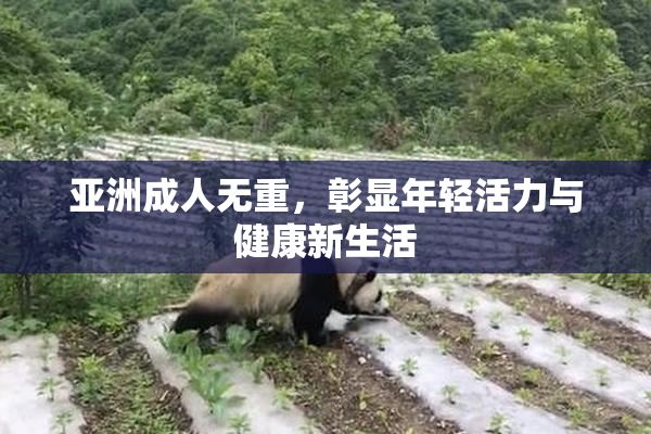 亚洲成人无重，彰显年轻活力与健康新生活