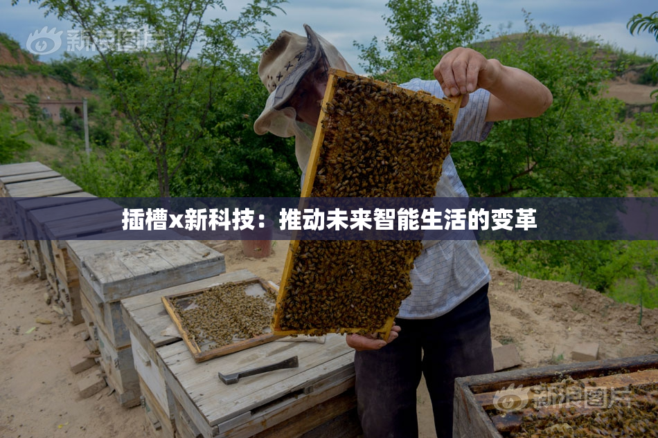 插槽x新科技：推动未来智能生活的变革