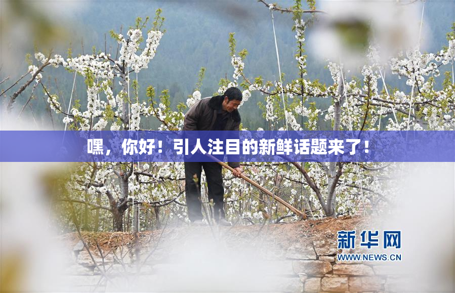 嘿，你好！引人注目的新鲜话题来了！