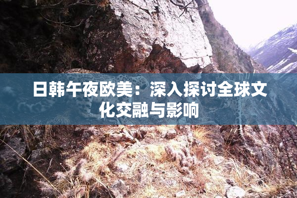 日韩午夜欧美：深入探讨全球文化交融与影响
