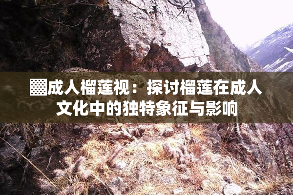▓成人榴莲视：探讨榴莲在成人文化中的独特象征与影响