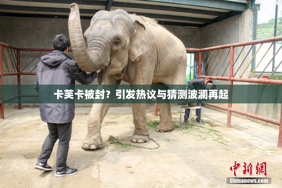 卡芙卡被封？引发热议与猜测波澜再起