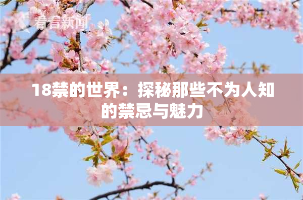 18禁的世界：探秘那些不为人知的禁忌与魅力