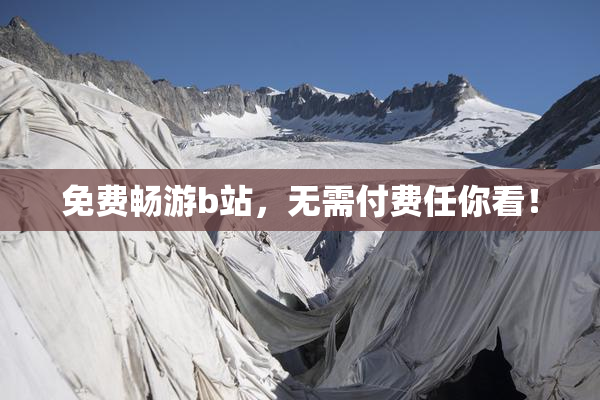 免费畅游b站，无需付费任你看！