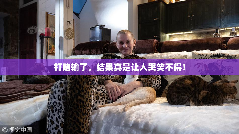 打赌输了，结果真是让人哭笑不得！