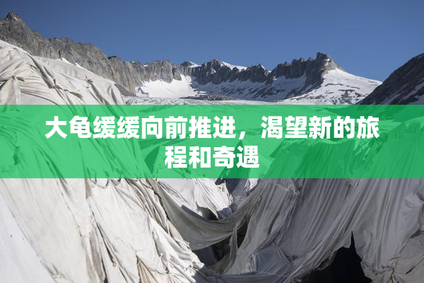 大龟缓缓向前推进，渴望新的旅程和奇遇
