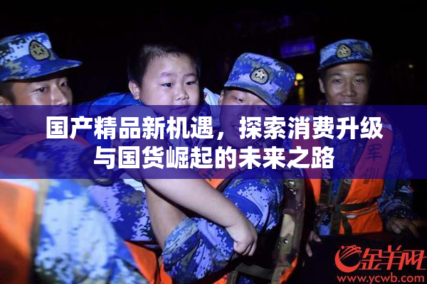国产精品新机遇，探索消费升级与国货崛起的未来之路