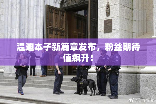 温迪本子新篇章发布，粉丝期待值飙升！