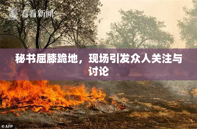 秘书屈膝跪地，现场引发众人关注与讨论