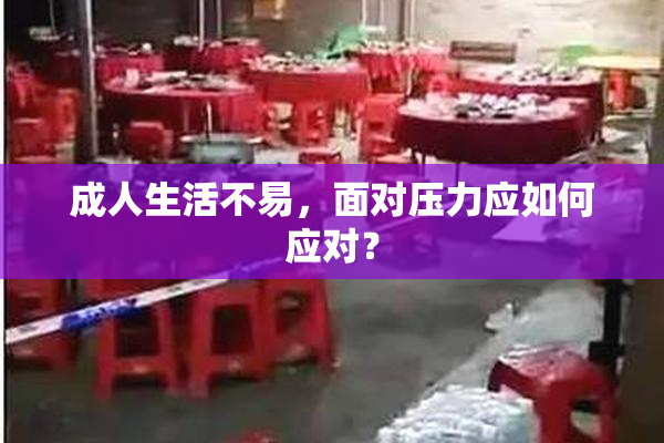 成人生活不易，面对压力应如何应对？