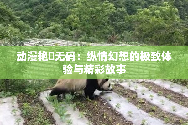 动漫艳鉧无码：纵情幻想的极致体验与精彩故事