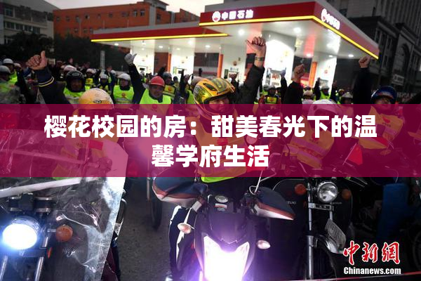 樱花校园的房：甜美春光下的温馨学府生活