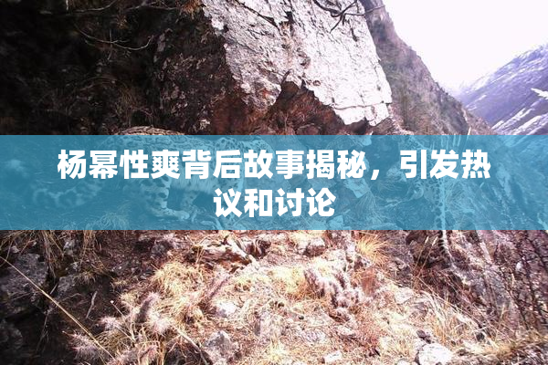 杨幂性爽背后故事揭秘，引发热议和讨论