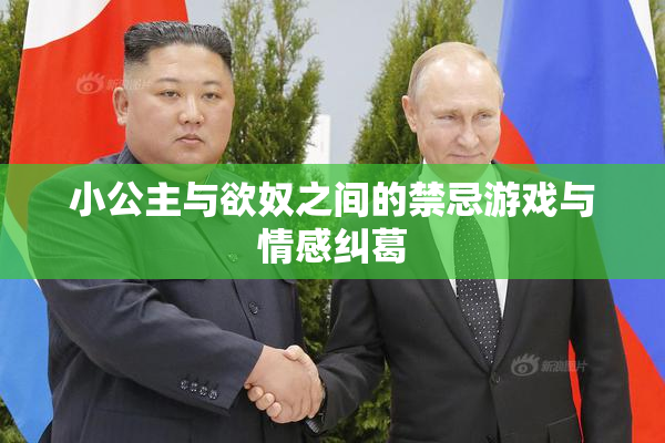 小公主与欲奴之间的禁忌游戏与情感纠葛