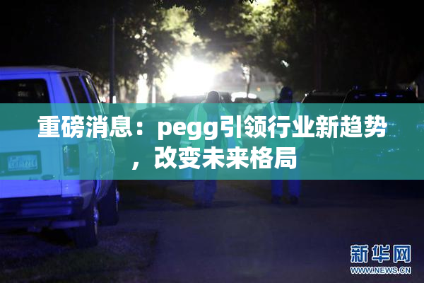 重磅消息：pegg引领行业新趋势，改变未来格局