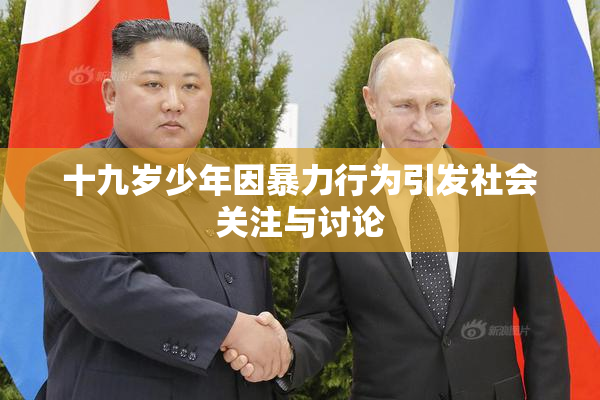 十九岁少年因暴力行为引发社会关注与讨论