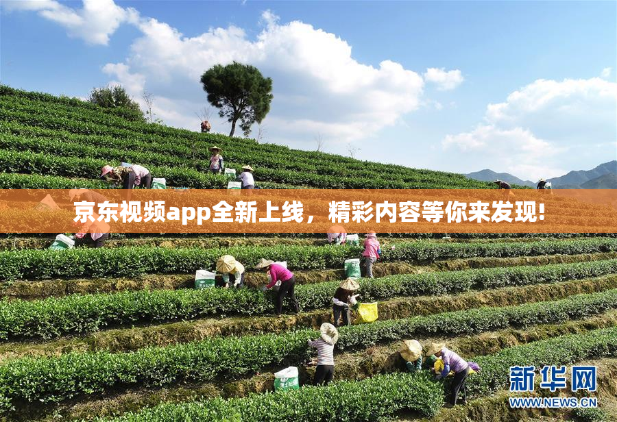 京东视频app全新上线，精彩内容等你来发现!