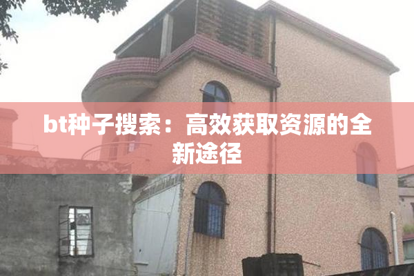 bt种子搜索：高效获取资源的全新途径