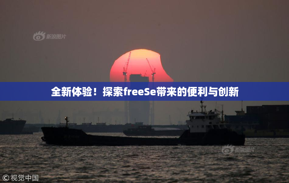 全新体验！探索freeSe带来的便利与创新