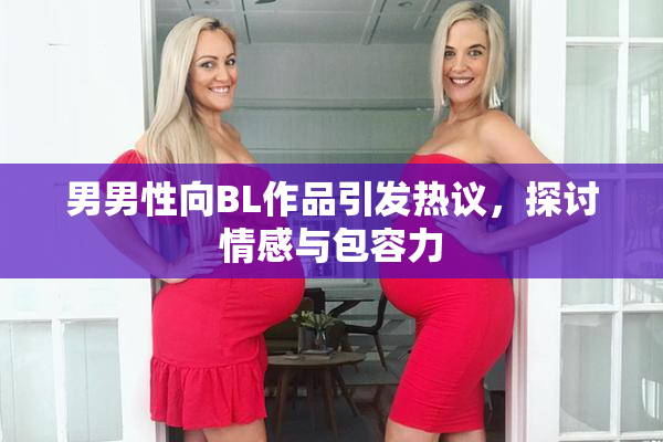 男男性向BL作品引发热议，探讨情感与包容力